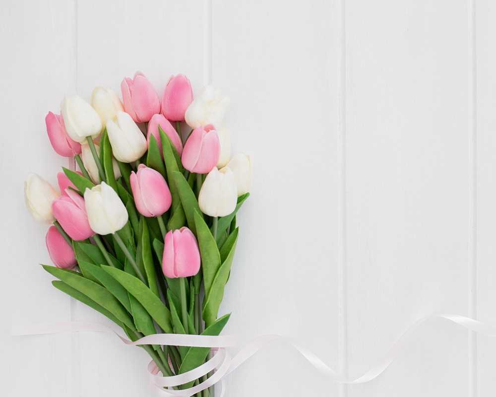 Hoa tulip tặng sinh nhật mẹ