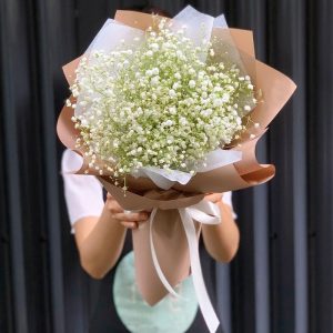 Hoa baby tặng sinh nhật bạn