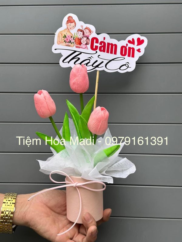 Hoa Tri Ân Thầy Cô 20 Tháng 11