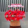 Lẵng Hoa Chúc Mừng Khai Trương Cửa Hàng
