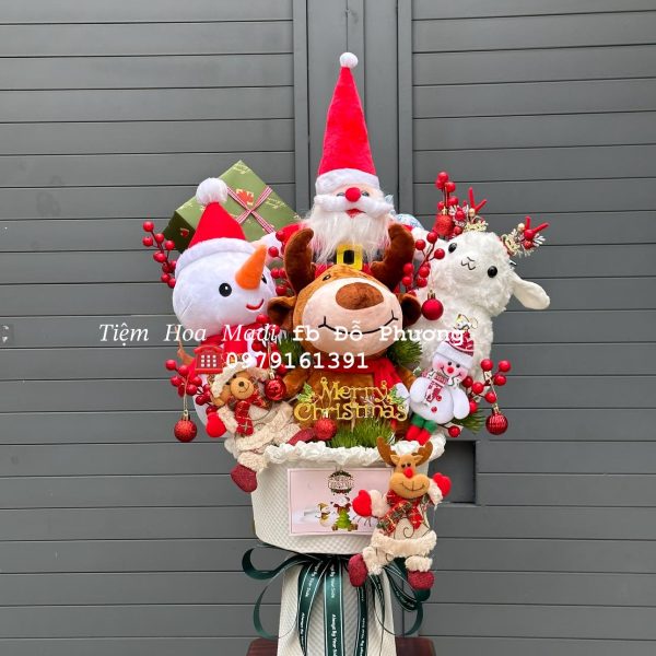 Hoa Chúc Mừng Giáng Sinh