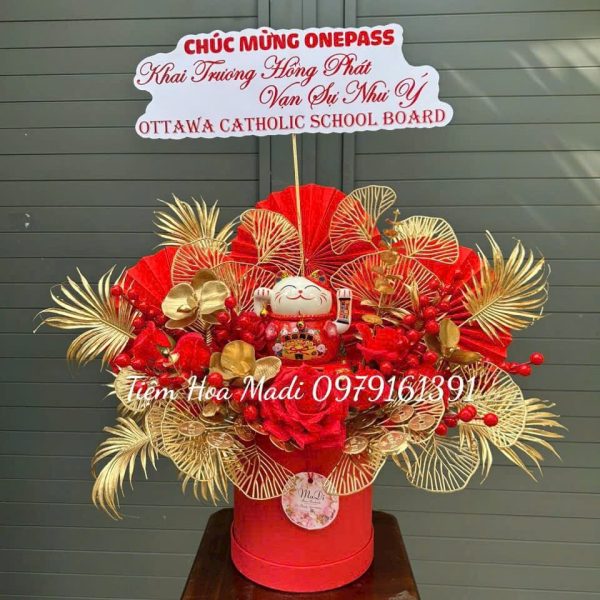 Hoa Mèo Thần Tài Tại Bình Dương