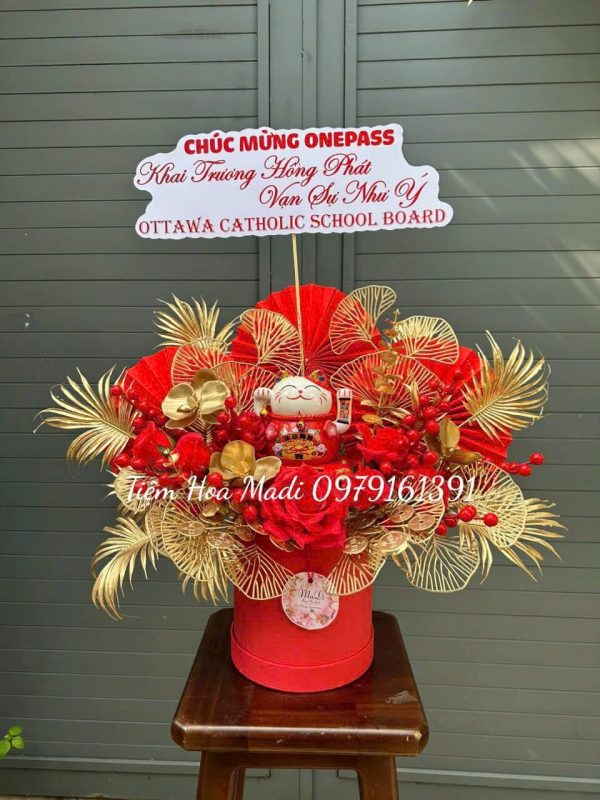 Hoa mèo thần tài tại Bình Dương
